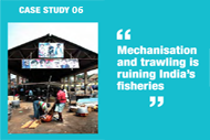 Mechanisation and Trawling