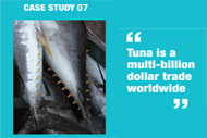 Tuna, a multi-billion dollar trade