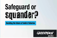 Safeguard or Squander