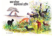 Blackbuck