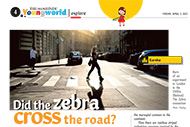 zebra crossing